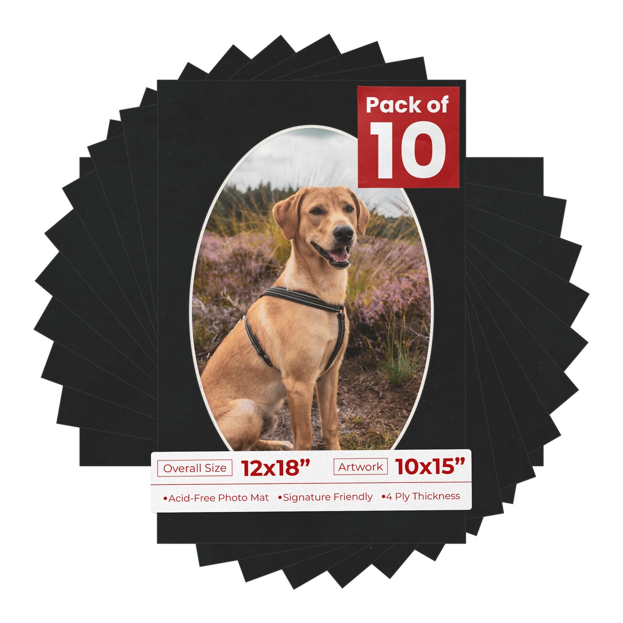 Black Suede Mat Board for 12x18 Frames - Oval Opening for 10x15 Photos